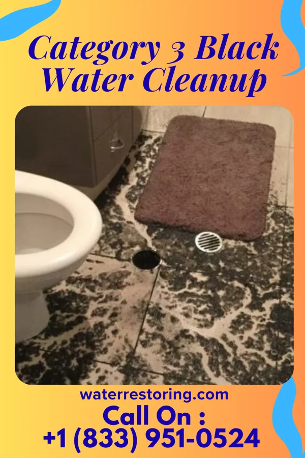 Category 3 Black Water Cleanup in Edison, NE