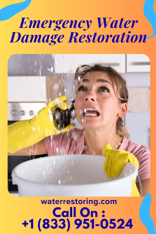 Emergency Water Damage Restoration in Edison, NE